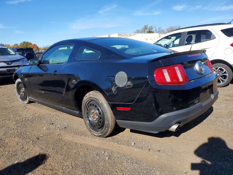 Продаж на аукціоні авто 2010 Ford Mustang, vin: 1ZVBP8CH3A5100471, номер лоту: 72303706