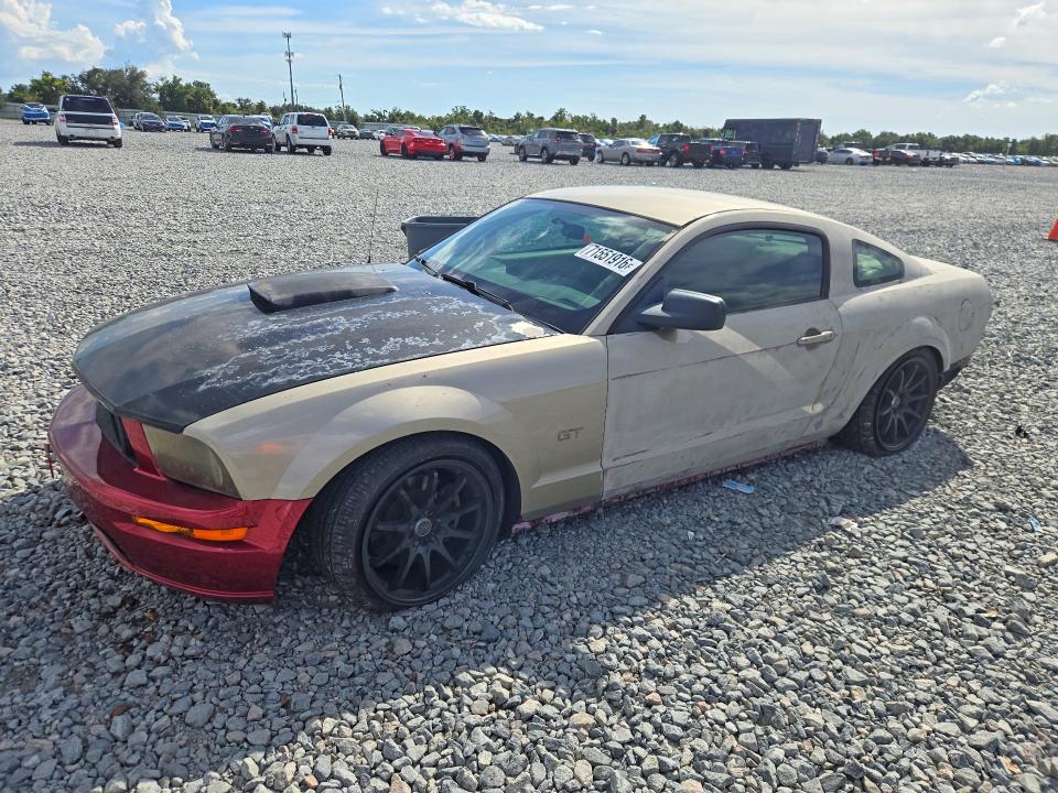 71551916 :رقم المزاد ، 1ZVFT82HX65173276 vin ، 2006 Ford Mustang مزاد بيع