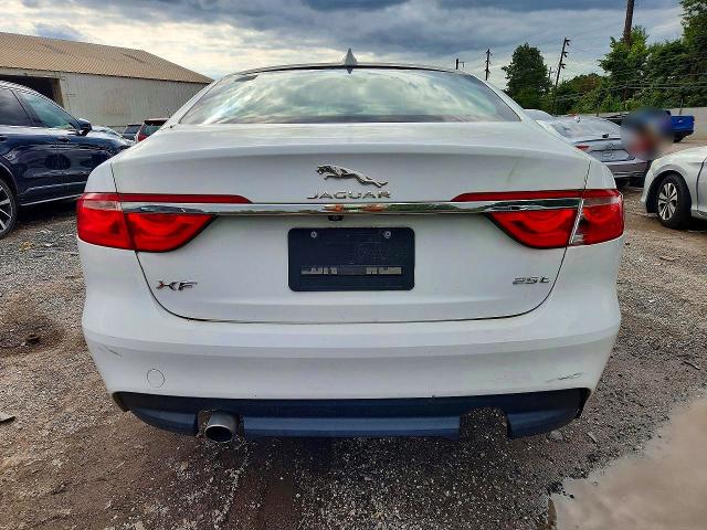 70803006 :رقم المزاد ، SAJBD4FX9KCY78845 vin ، 2019 Jaguar Xf مزاد بيع