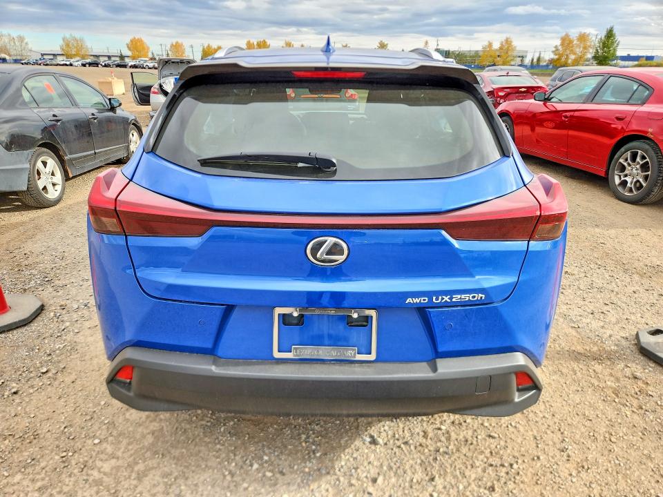 Продаж на аукціоні авто 2024 Lexus Ux, vin: JTHL9JBH2R2080199, номер лоту: 71089706