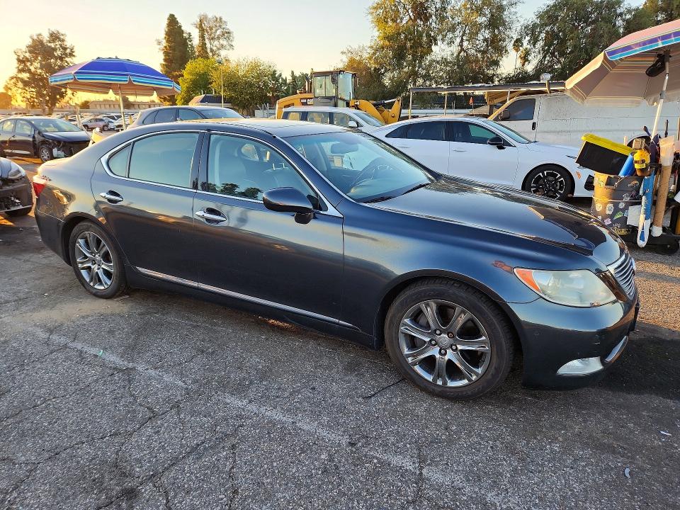 2007 Lexus Ls მანქანა იყიდება აუქციონზე, vin: JTHBL46FX75034462, აუქციონის ნომერი: 71641596