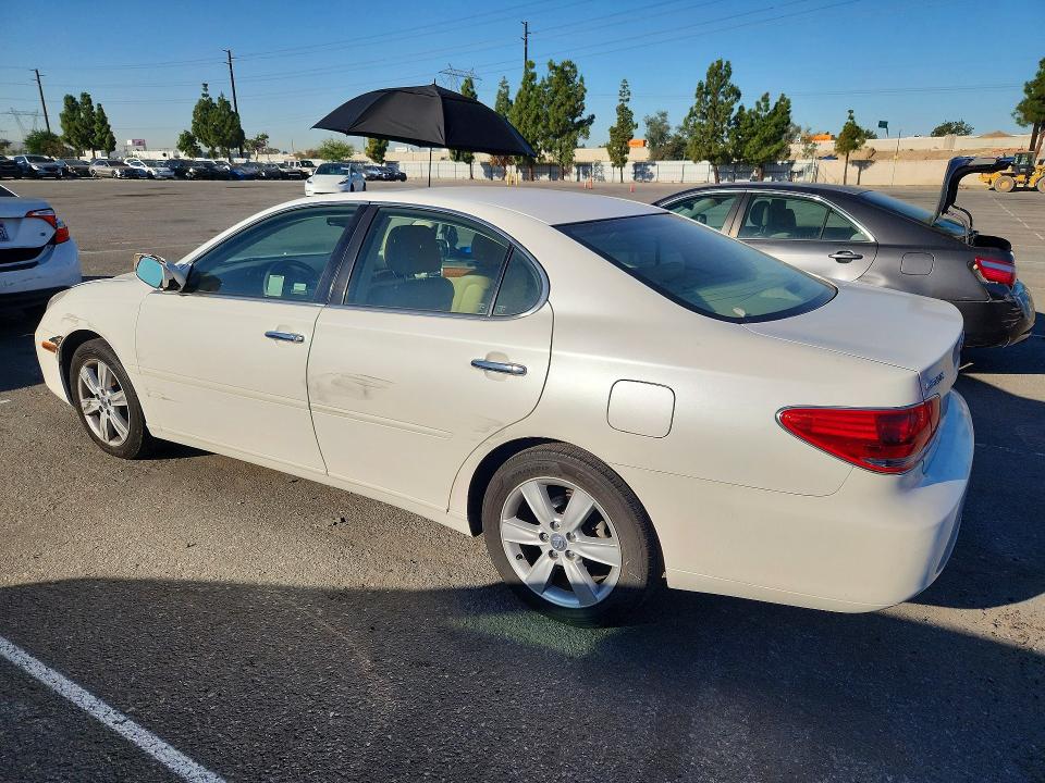 2005 Lexus Es მანქანა იყიდება აუქციონზე, vin: JTHBA30G255076915, აუქციონის ნომერი: 71211666