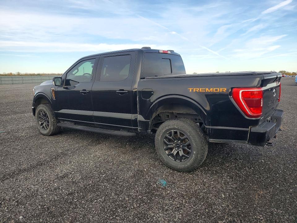 Продаж на аукціоні авто 2022 Ford F150, vin: 1FTEW1E8XNFA32368, номер лоту: 68647906