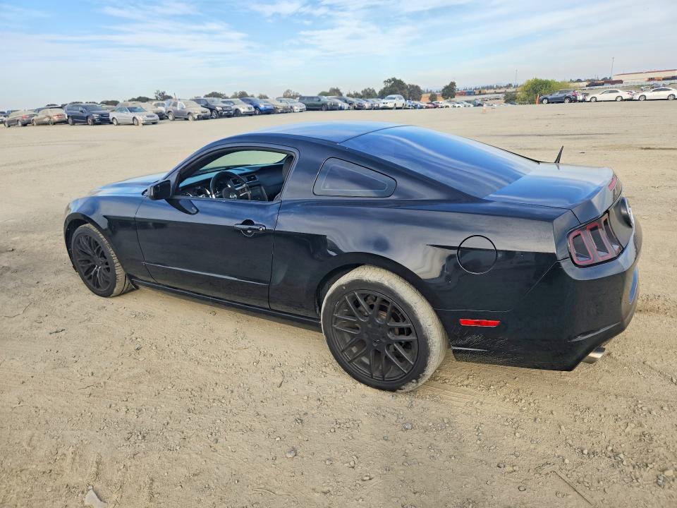 Продаж на аукціоні авто 2013 Ford Mustang, vin: 1ZVBP8AM7D5209519, номер лоту: 70909976