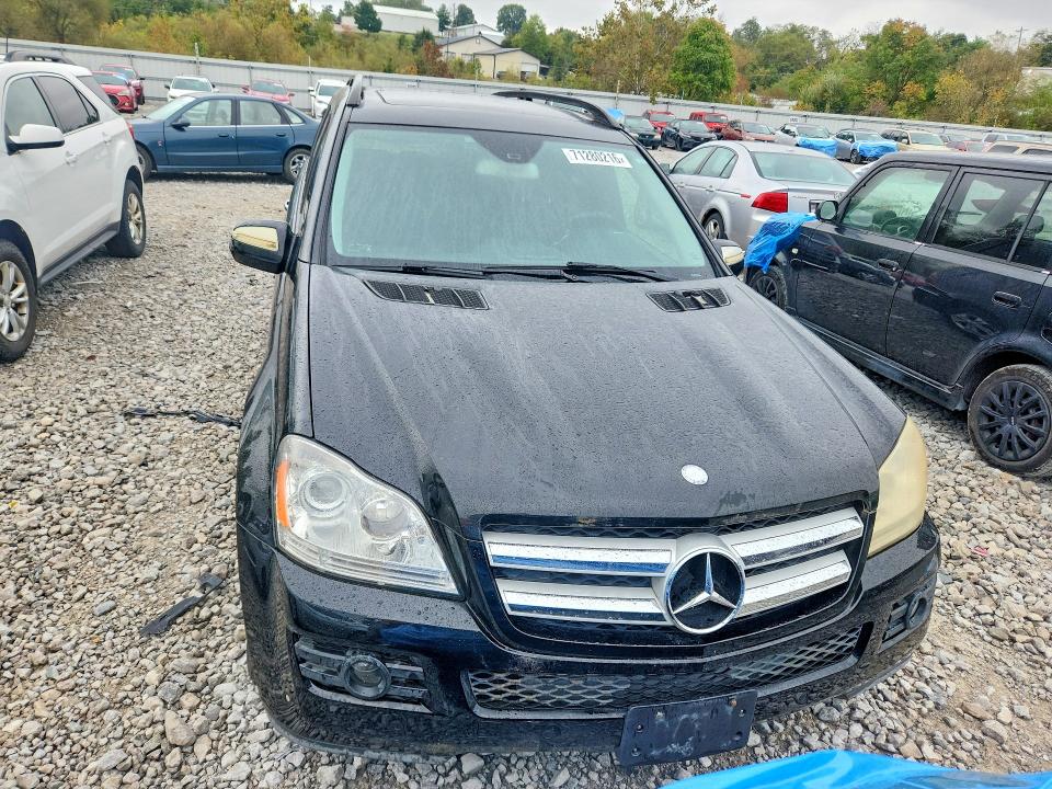 71280216 :رقم المزاد ، 4JGBF71E69A451396 vin ، 2009 Mercedes-benz Gl مزاد بيع