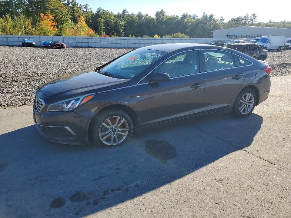 Продаж на аукціоні авто 2016 Hyundai Sonata, vin: 5NPE24AF3GH293478, номер лоту: 70926946