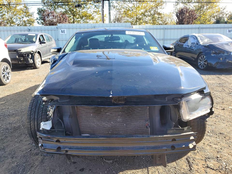 Продаж на аукціоні авто 2010 Ford Mustang, vin: 1ZVBP8CH3A5100471, номер лоту: 72303706