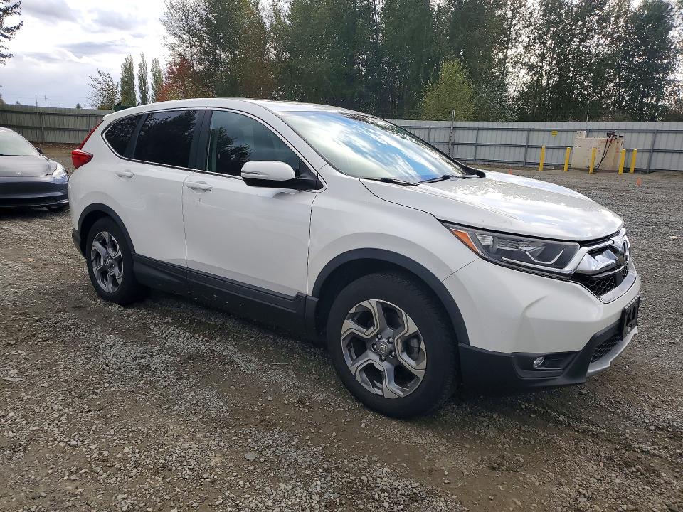 Продаж на аукціоні авто 2019 Honda Cr-v, vin: 5J6RW2H51KA012943, номер лоту: 72748996