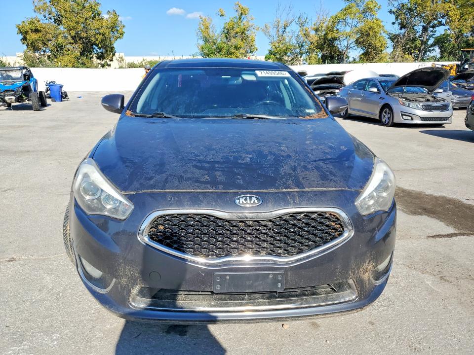 71499546 :رقم المزاد ، KNALN4D78E5131732 vin ، 2014 Kia Cadenza مزاد بيع
