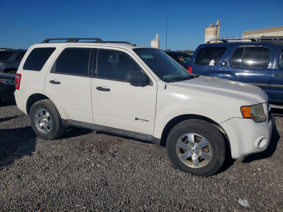 2010 Ford Escape მანქანა იყიდება აუქციონზე, vin: 1FMCU4K37AKA96064, აუქციონის ნომერი: 71651516