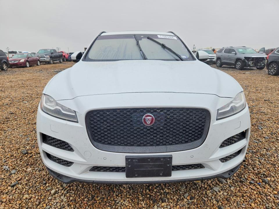 Продаж на аукціоні авто 2019 Jaguar F-pace, vin: SADCK2FX3KA601640, номер лоту: 71503466