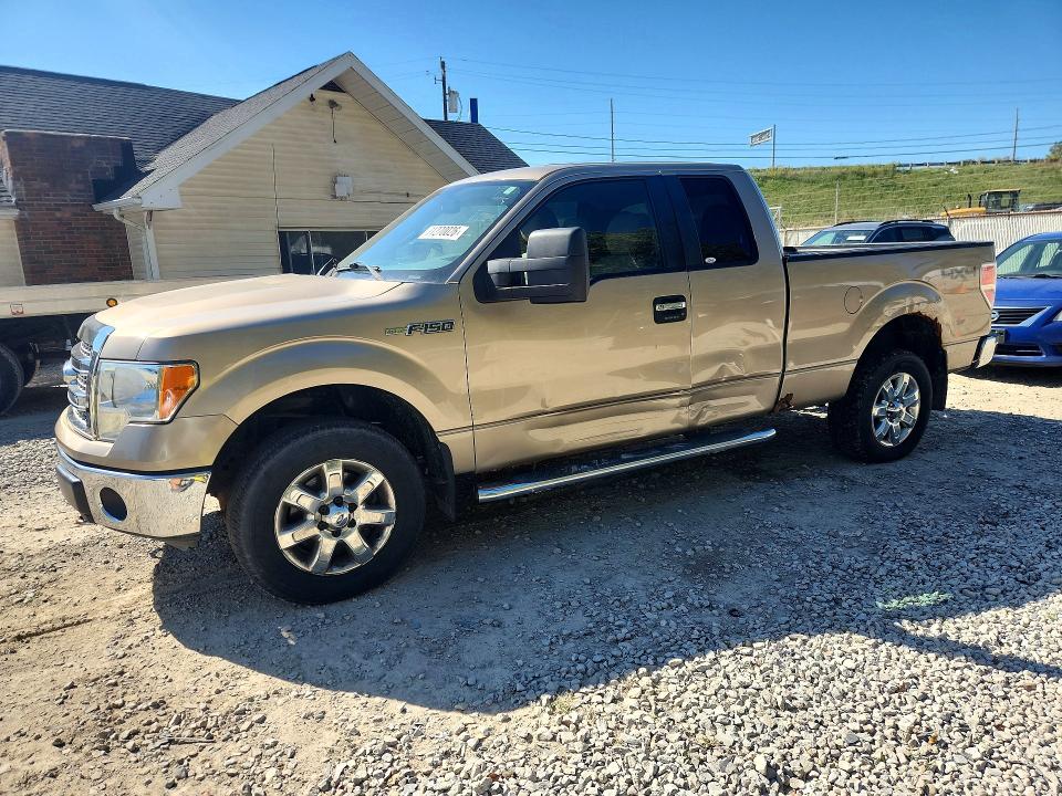 2013 Ford F150 მანქანა იყიდება აუქციონზე, vin: 1FTFX1EF9DFC78066, აუქციონის ნომერი: 71270026