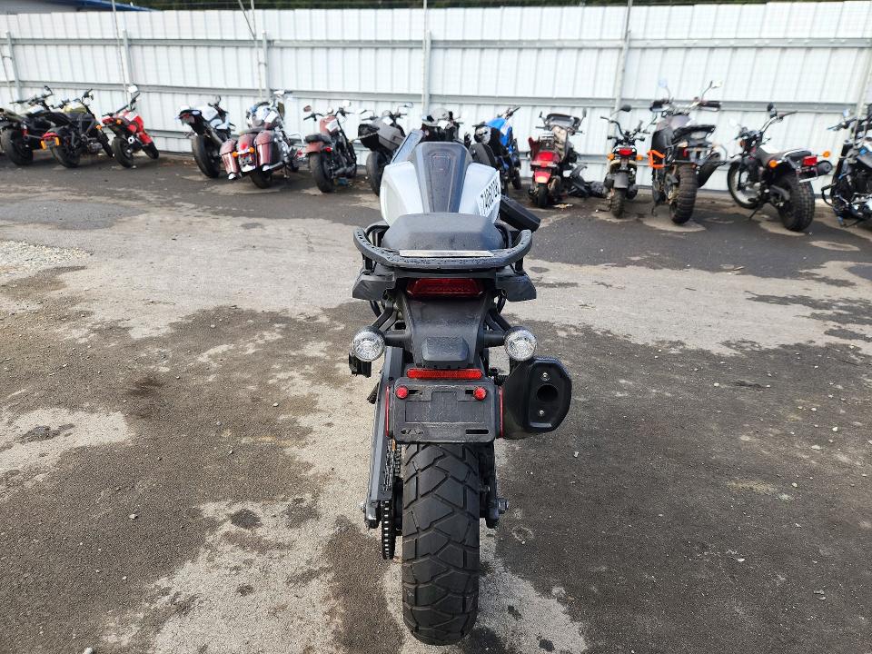 74062786 :رقم المزاد ، MLY1ZES1XSS311047 vin ، 2025 Harley-davidson Ra1250 مزاد بيع