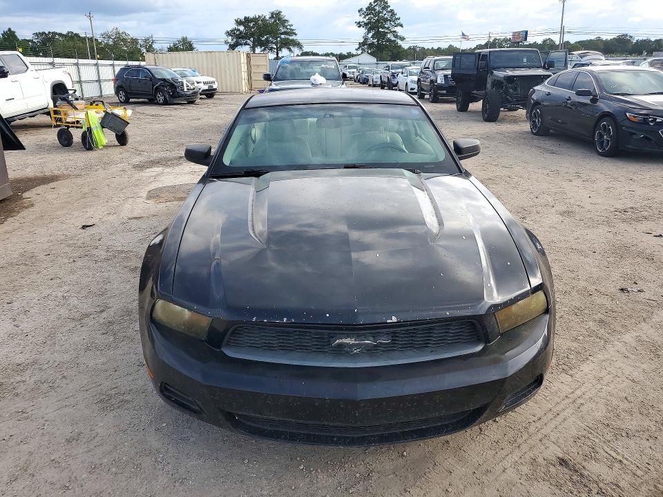 Продажа на аукционе авто 2010 Ford Mustang, vin: 1ZVBP8AN7A5147804, номер лота: 71612276
