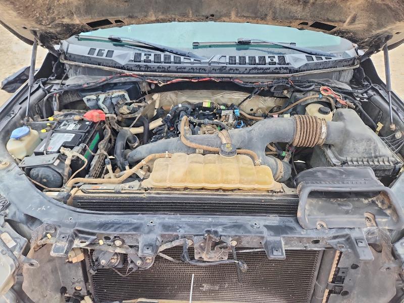 2019 Ford F150 მანქანა იყიდება აუქციონზე, vin: 1FTEW1EP1KKC96802, აუქციონის ნომერი: 71162496