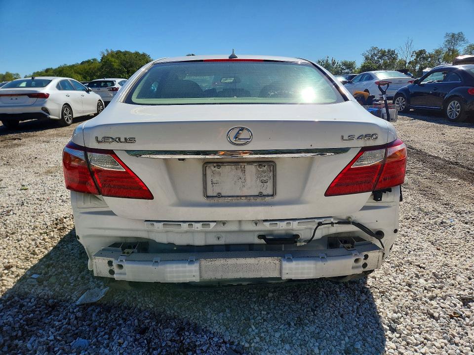 70377816 :رقم المزاد ، JTHCL5EF3A5007977 vin ، 2010 Lexus Ls مزاد بيع