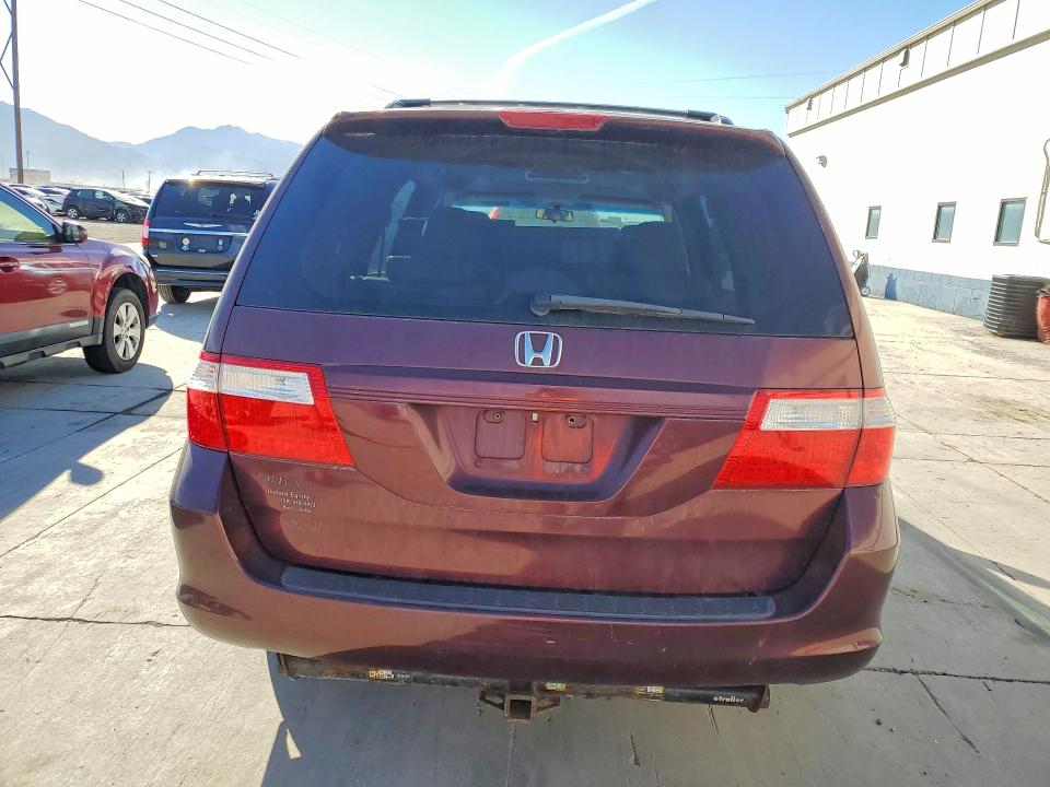Продажа на аукционе авто 2007 Honda Odyssey, vin: 5FNRL38707B455248, номер лота: 71497636