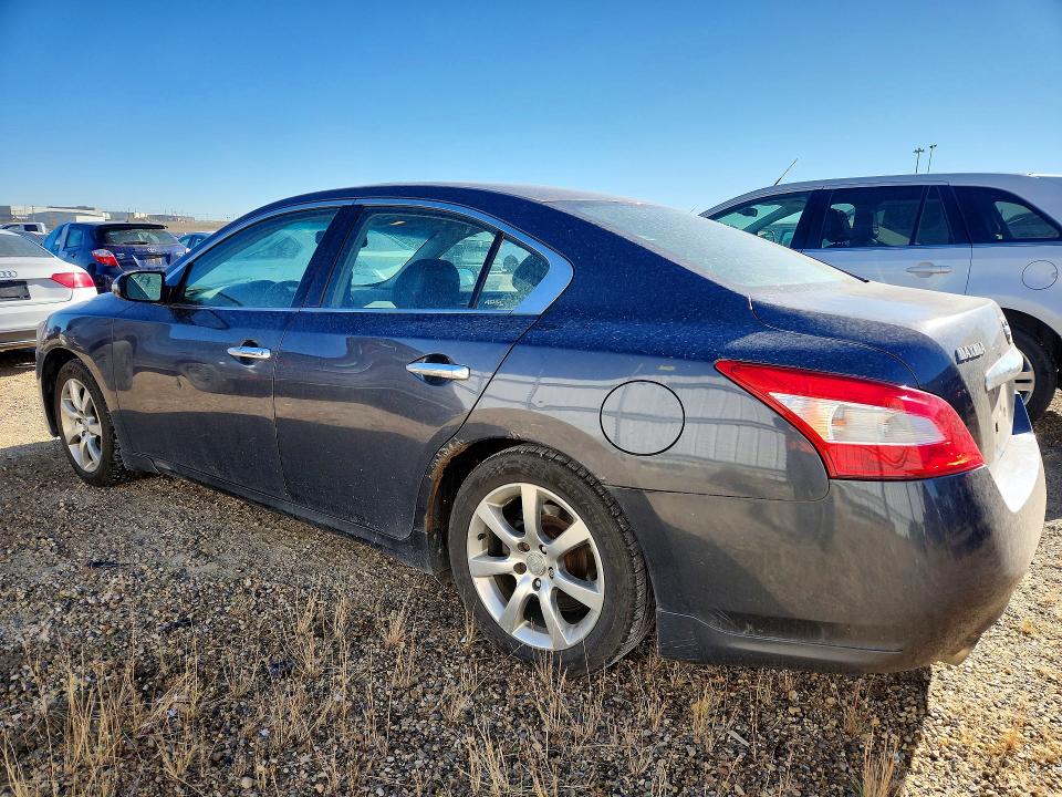 Продажа на аукционе авто 2010 Nissan Maxima, vin: 1N4AA5AP3AC830567, номер лота: 71060576