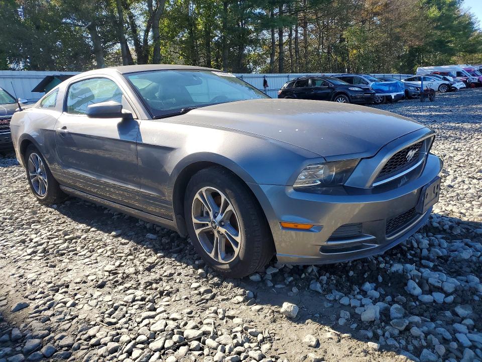 Продажа на аукционе авто 2014 Ford Mustang, vin: 1ZVBP8AMXE5329946, номер лота: 71949036