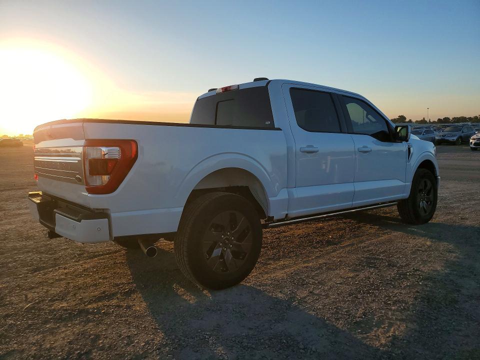 2021 Ford F150 მანქანა იყიდება აუქციონზე, vin: 1FTFW1ED7MFB49826, აუქციონის ნომერი: 71253256
