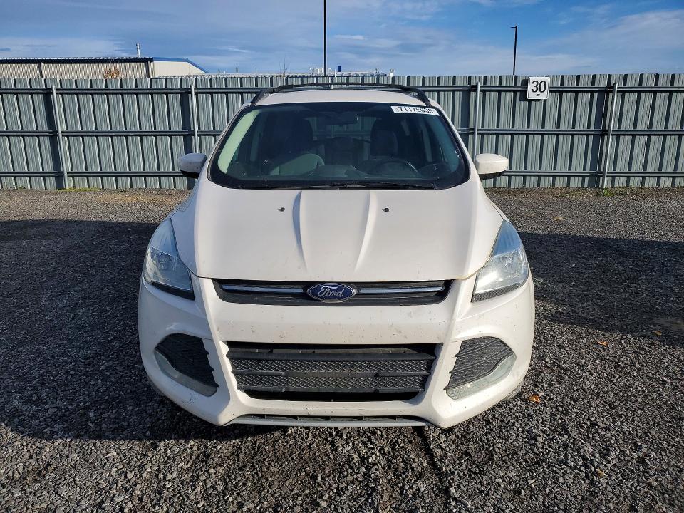 71176036 :رقم المزاد ، 1FMCU0G97DUD89591 vin ، 2013 Ford Escape مزاد بيع