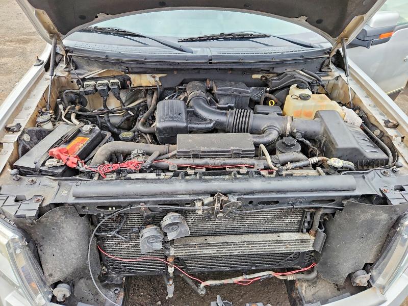Продаж на аукціоні авто 2010 Ford F150, vin: 1FTFW1EV7AKE40869, номер лоту: 70884516