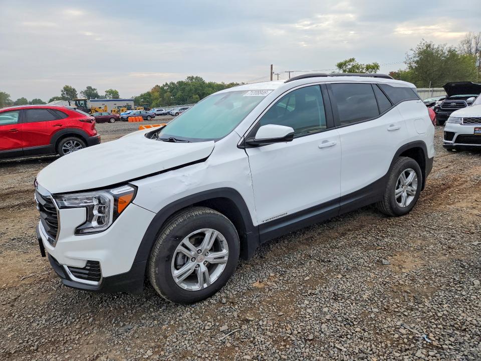 71208846 :رقم المزاد ، 3GKALTEG1RL254582 vin ، 2024 Gmc Terrain مزاد بيع