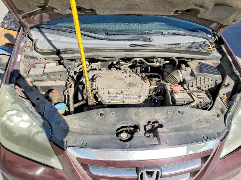 Продажа на аукционе авто 2007 Honda Odyssey, vin: 5FNRL38707B455248, номер лота: 71497636