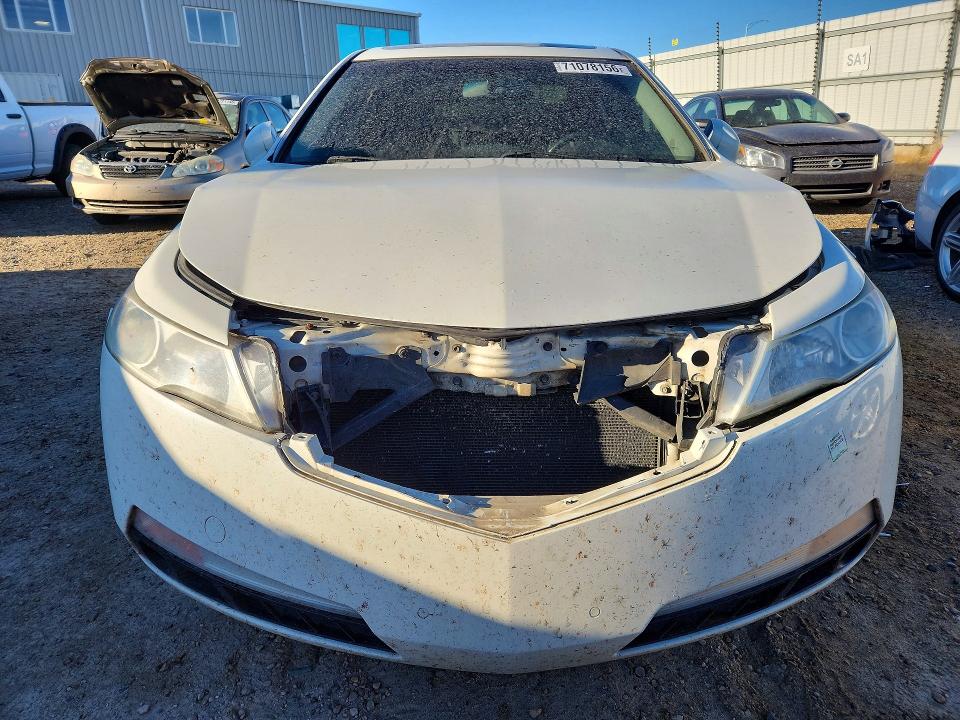 Продажа на аукционе авто 2009 Acura Tl, vin: 19UUA86219A800207, номер лота: 71078156