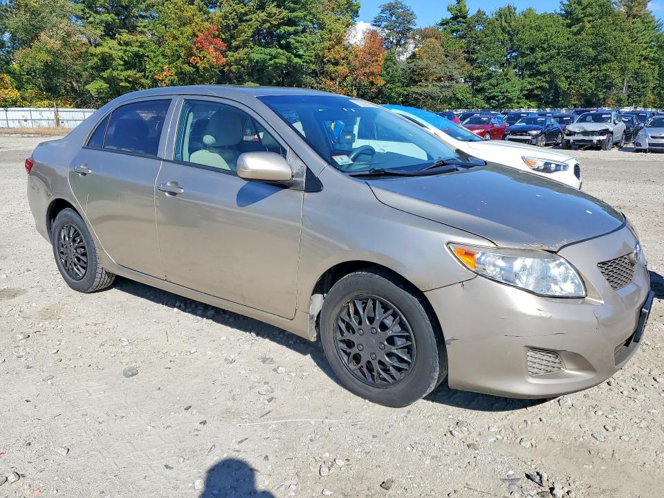 2010 Toyota Corolla მანქანა იყიდება აუქციონზე, vin: 2T1BU4EE0AC501454, აუქციონის ნომერი: 72038216