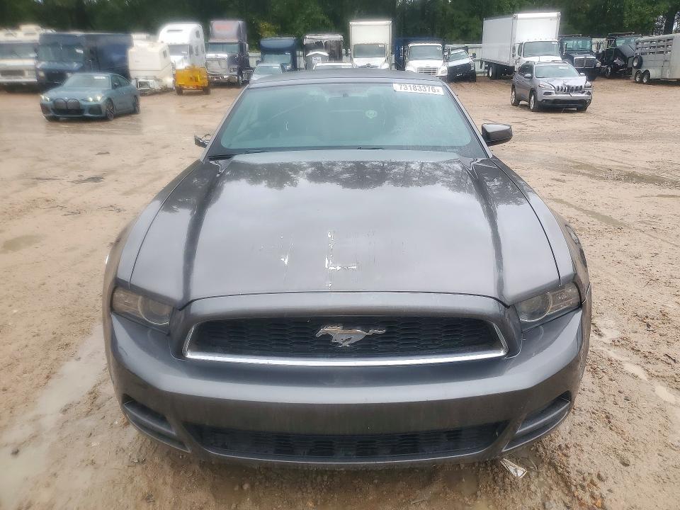 Продаж на аукціоні авто 2014 Ford Mustang, vin: 1ZVBP8EM7E5220306, номер лоту: 73183376
