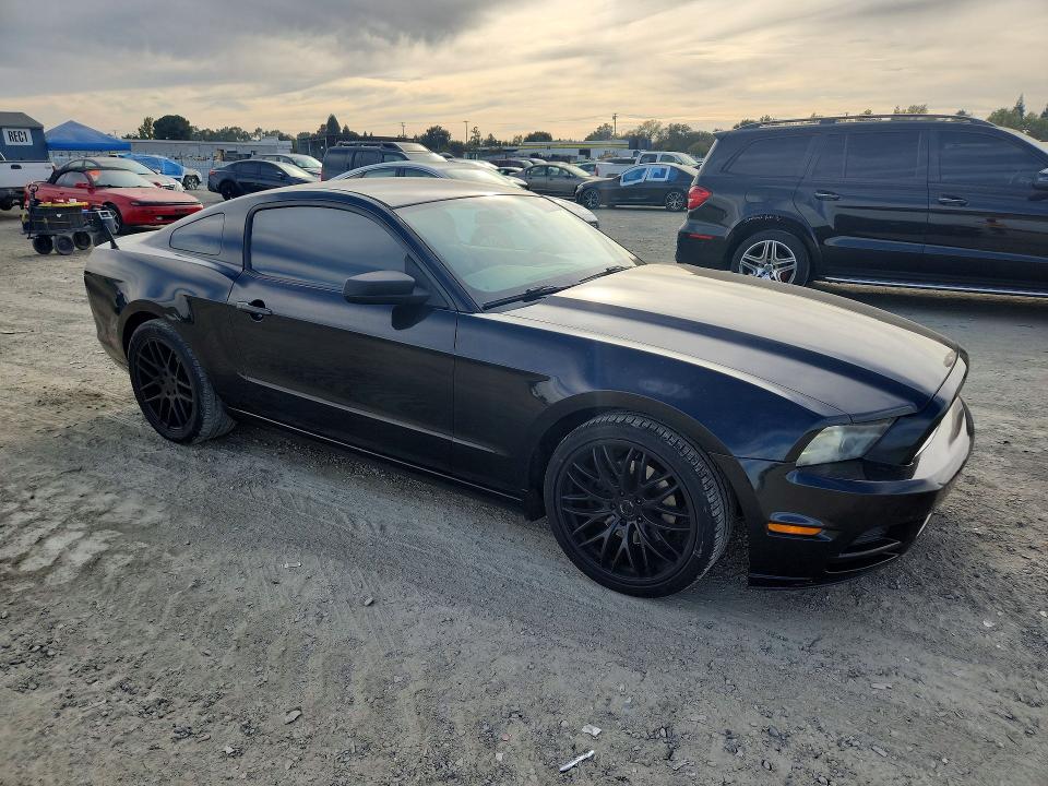 Продаж на аукціоні авто 2013 Ford Mustang, vin: 1ZVBP8AM7D5209519, номер лоту: 70909976