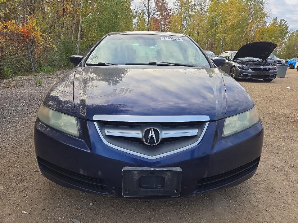 71954266 :رقم المزاد ، 19UUA662X6A800710 vin ، 2006 Acura 3.2tl مزاد بيع