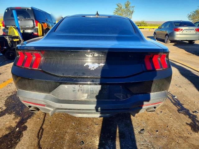 Продаж на аукціоні авто 2024 Ford Mustang, vin: 1FA6P8TH7R5108062, номер лоту: 71596736