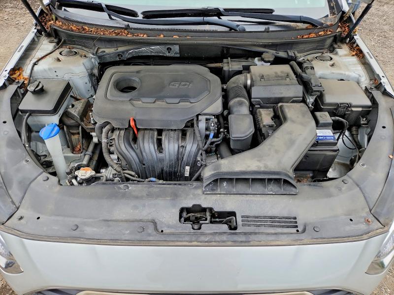 71245376 :رقم المزاد ، 5NPE24AF1KH744058 vin ، 2019 Hyundai Sonata مزاد بيع
