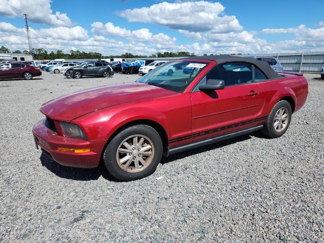 Продаж на аукціоні авто 2008 Ford Mustang, vin: 1ZVHT84N385186000, номер лоту: 73147796