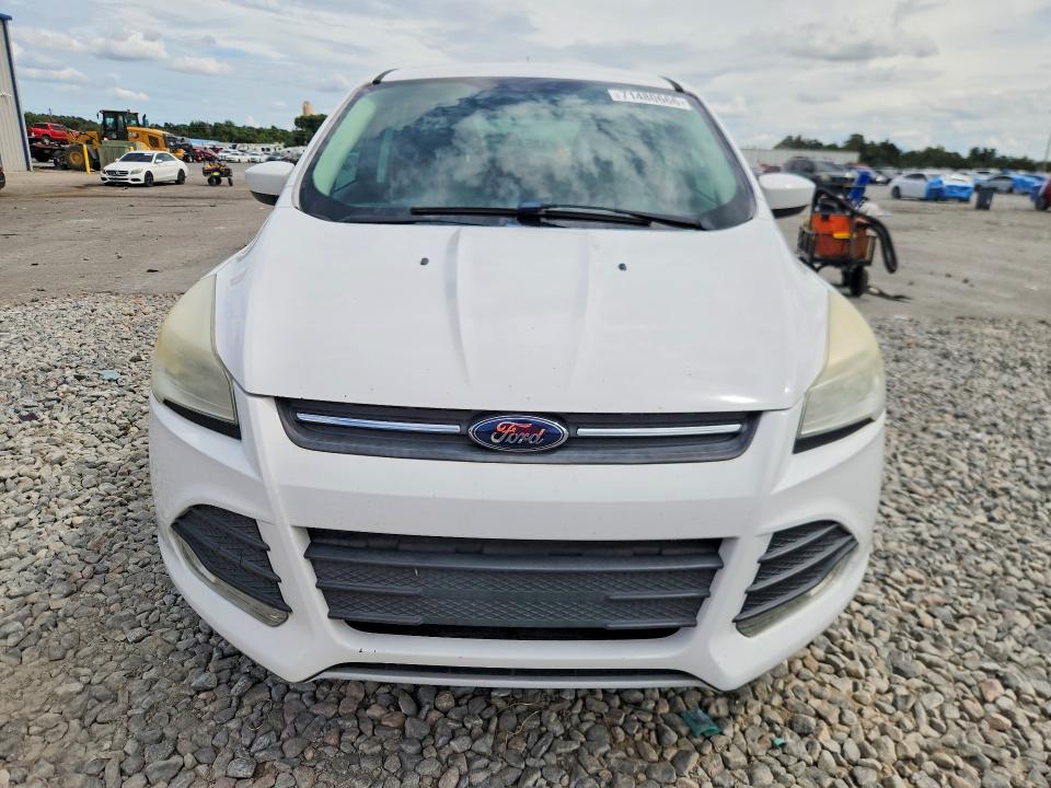 Продажа на аукционе авто 2014 Ford Escape, vin: 1FMCU0GX5EUD22407, номер лота: 71480666