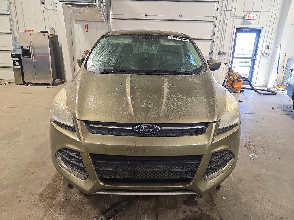 73660886 :رقم المزاد ، 1FMCU0GX1DUD85888 vin ، 2013 Ford Escape مزاد بيع