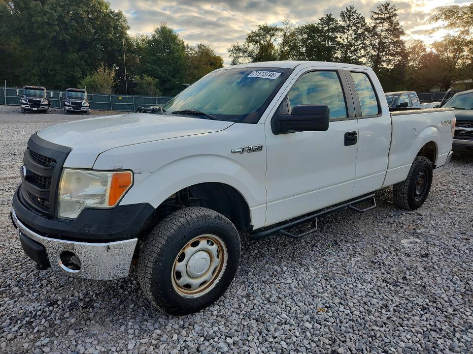 Auction sale of the 2013 Ford F150, vin: 1FTFX1EF5DKD51036, lot number: 71913146