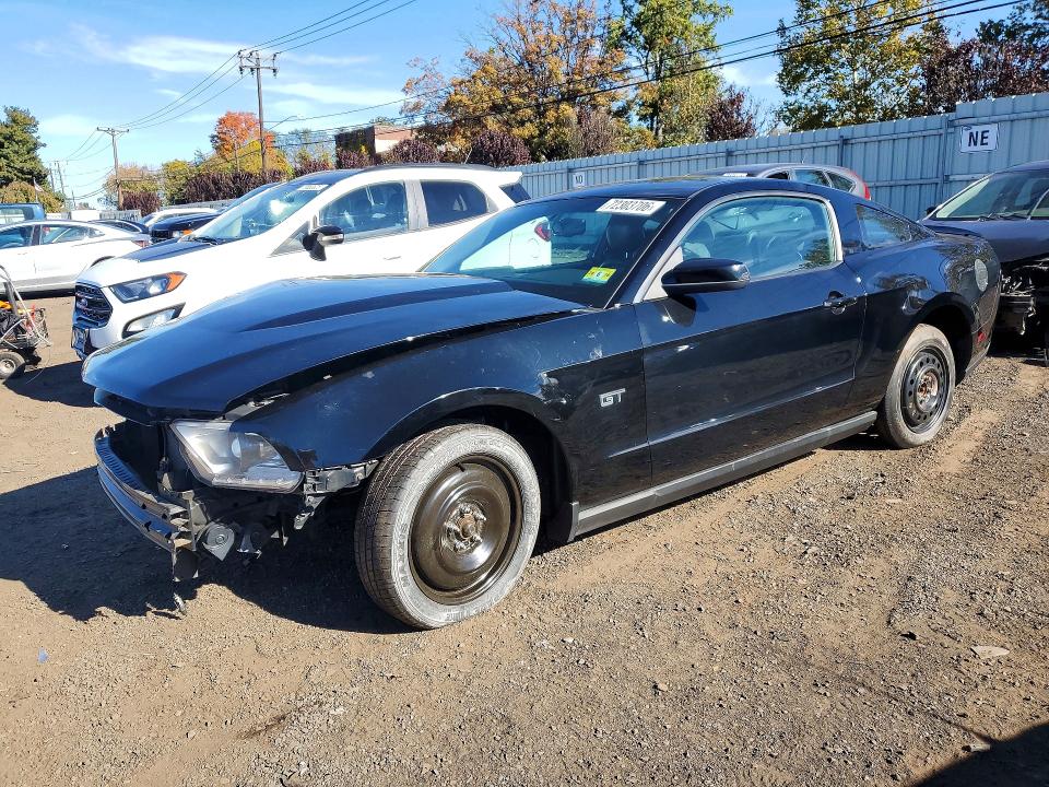 Продаж на аукціоні авто 2010 Ford Mustang, vin: 1ZVBP8CH3A5100471, номер лоту: 72303706