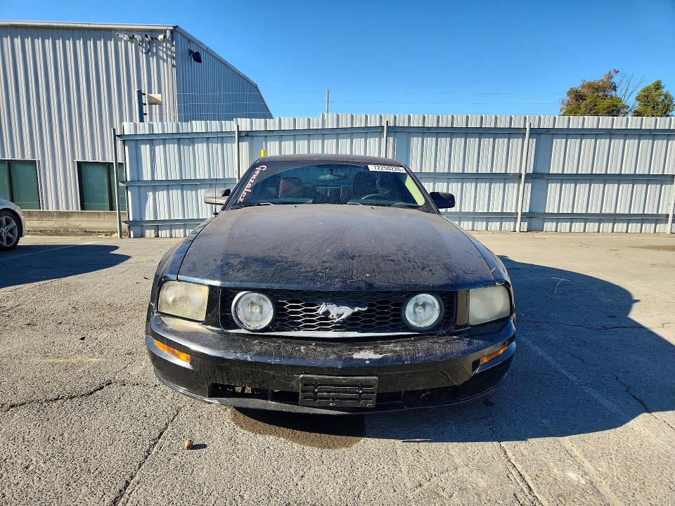 Продажа на аукционе авто 2006 Ford Mustang, vin: 1ZVFT82H265230926, номер лота: 72250226