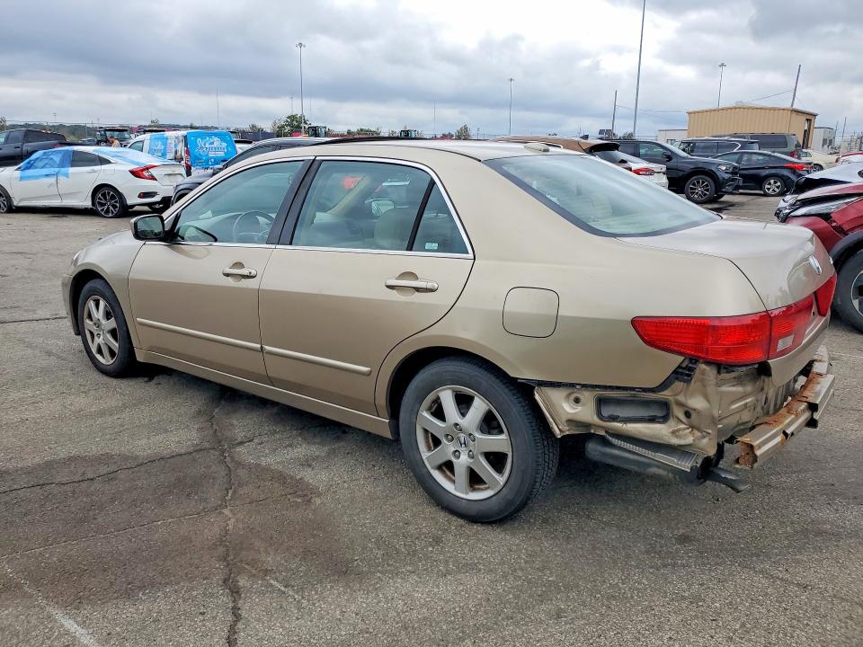 Продаж на аукціоні авто 2005 Honda Accord, vin: 1HGCM66515A055437, номер лоту: 71588606