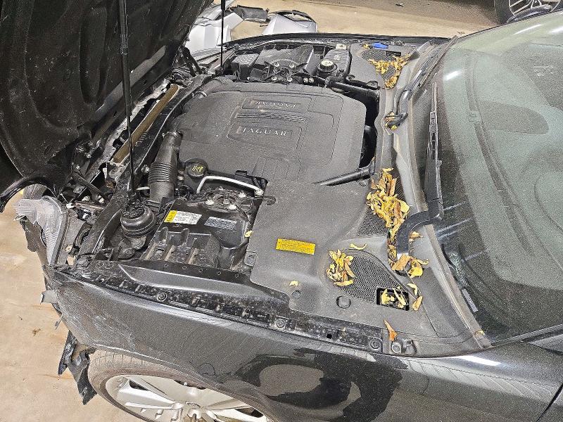 2010 Jaguar Xk მანქანა იყიდება აუქციონზე, vin: SAJWA4GB7ALB32960, აუქციონის ნომერი: 72773616