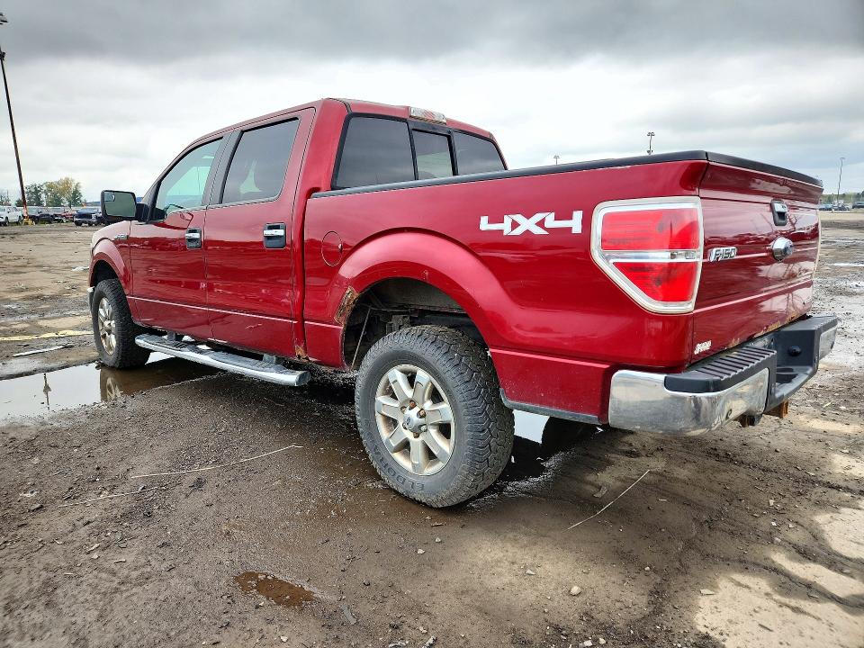 2014 Ford F150 მანქანა იყიდება აუქციონზე, vin: 1FTFW1EF0EKF71849, აუქციონის ნომერი: 73054396