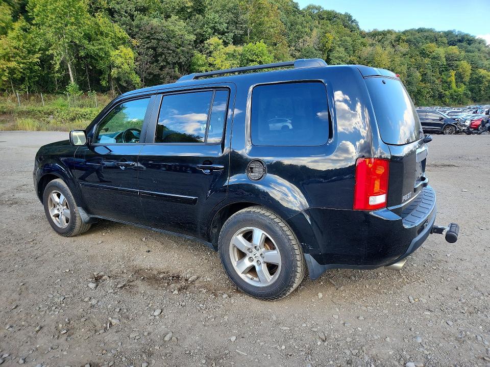 71278006 :رقم المزاد ، 5FNYF4H51AB019751 vin ، 2010 Honda Pilot مزاد بيع