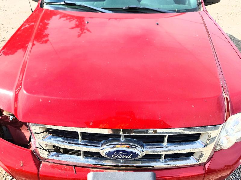 Продажа на аукционе авто 2010 Ford Escape, vin: 1FMCU9D72AKB09445, номер лота: 71192436