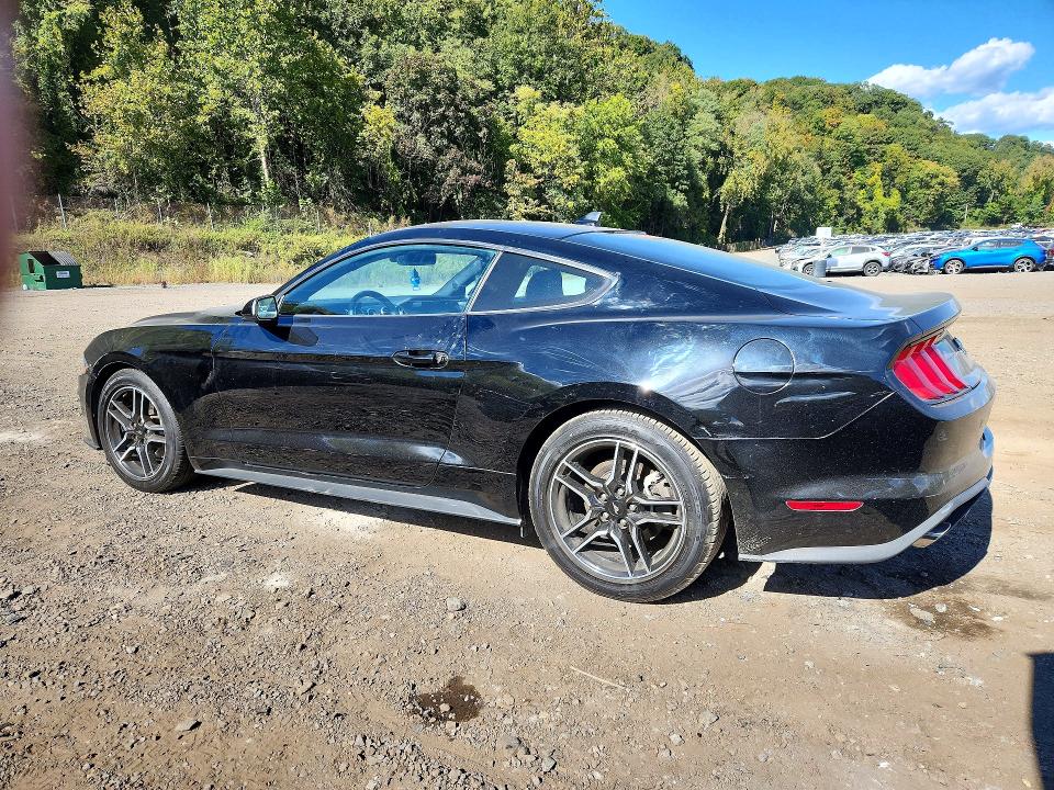 2021 Ford Mustang მანქანა იყიდება აუქციონზე, vin: 1FA6P8TH3M5157672, აუქციონის ნომერი: 71961946