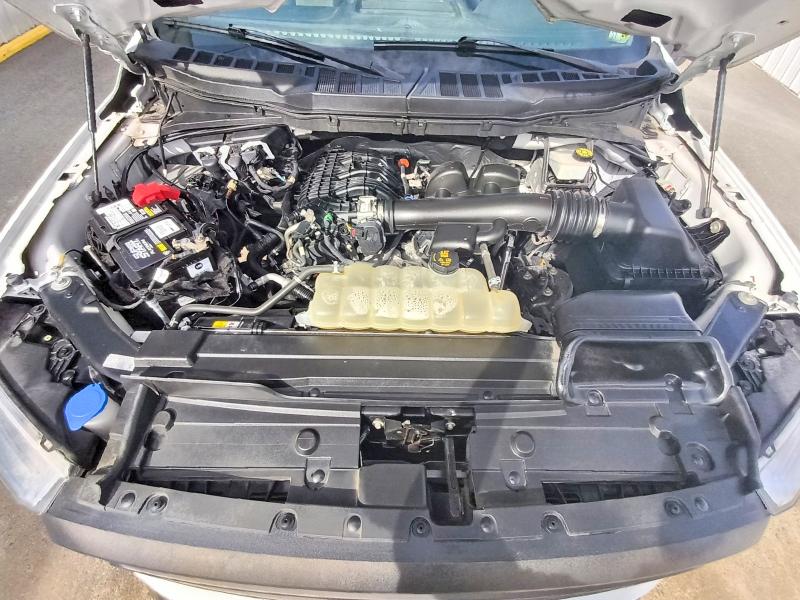 Продажа на аукционе авто 2021 Ford F150, vin: 1FTMF1CB7MKE69924, номер лота: 69811736