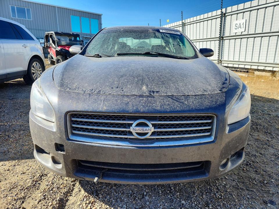 Продажа на аукционе авто 2010 Nissan Maxima, vin: 1N4AA5AP3AC830567, номер лота: 71060576