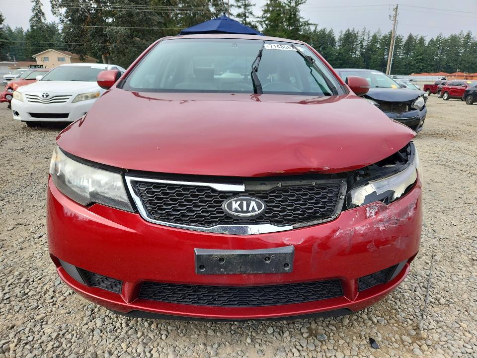 Продаж на аукціоні авто 2012 Kia Forte, vin: KNAFU4A22C5586677, номер лоту: 71486676